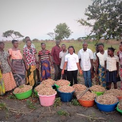 Humanitarian protection in Central Kasai Image 4